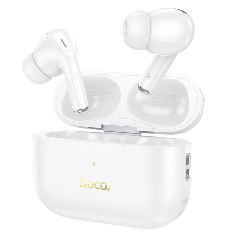 Hoco EW56 Plus Generoso ANC Wireless Earbuds
