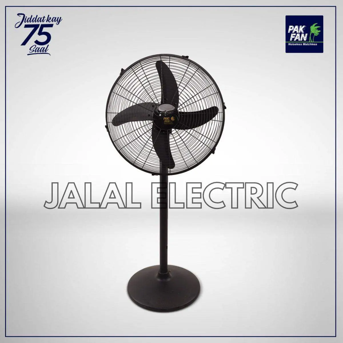 PAK Pedestal Fan 24 Inch Industrial Black - Black